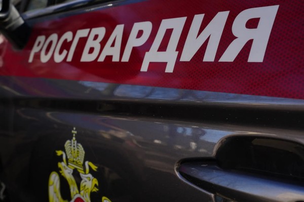 В Москве росгвардейцы остановили машину, числящуюся в розыске