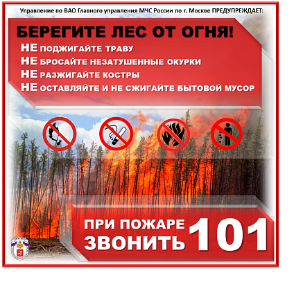От маленькой спички - большая беда 