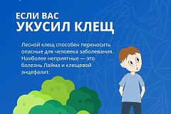 Клещи подстерегают везде! Как защитить себя в походе и парке