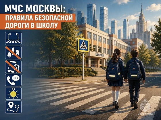 С началом нового учебного года улицы заполняют многочисленные школьники, спешащие на занятия. 